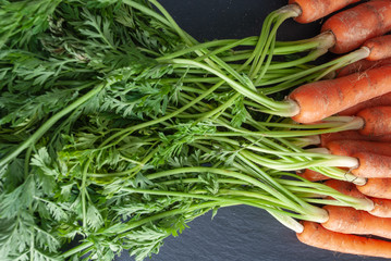 Horizontal top view of bunch of carrots on slate background