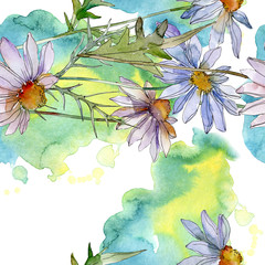 Fototapeta premium Daisy and chamomile floral botanical flower. Watercolor background illustration set. Seamless background pattern.