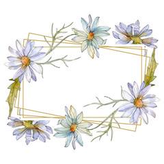Daisy floral botanical flower. Watercolor background illustration set. Frame border ornament square.