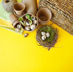 Easter decorative composition on a yellow background.Nest with quail eggs.
