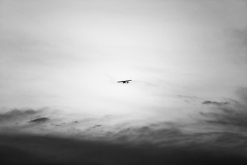 Small old or vintage airplane or aircraft fly on the sky in black and white color tone.