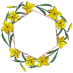 Vector Yellow Narcissus floral botanical flower. Engraved ink art. Frame border ornament square.