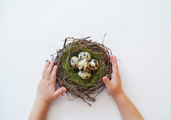 Children's hands hold an Easter nest with eggs. View from above. Child. Boy.