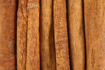 Cinnamon sticks isolated on white background