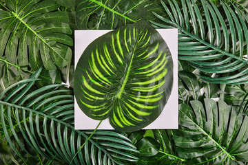 Creative layout made of tropical leaves with vintage frame.