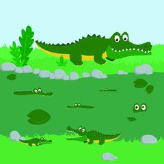 Crocodiles on the river