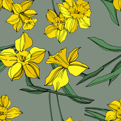 Vector Yellow Narcissus floral botanical flower. Engraved ink art. Seamless background pattern.