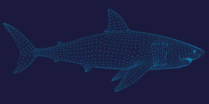 Polygonal shark frame of blue lines on a dark background. Side view. 3D.