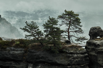 Misty foggy landscape of the Pravcicka gate (Pravcicka brana) the largest natural sandstone arch in Europe in Czech Switzerland (Bohemian Switzerland or Ceske Svycarsko) National Park