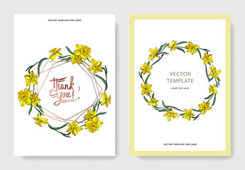 Vector Yellow Narcissus floral botanical flower. Engraved ink art. Wedding background card floral decorative border.