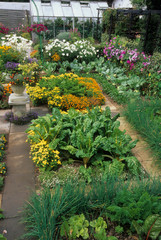 Fototapeta na wymiar Jardin Potager fleuri