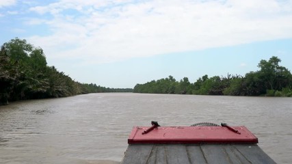 Point of view from the front of a traditional Vietnamese boat sailing on the Mekong River in the Mekong Delta, Vietnam