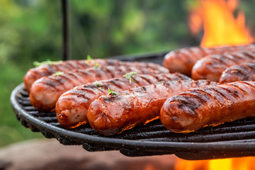 Delicious sausage on grill with spices and herbs