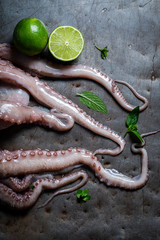 Top iew of preparing fresh octopus on cold metal table