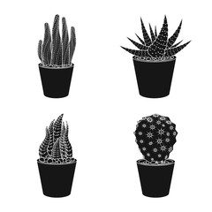 Isolated object of cactus and pot logo. Set of cactus and cacti stock symbol for web.