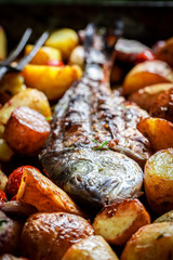 Closeup of seabream and potatoes with herbs and tomatoes