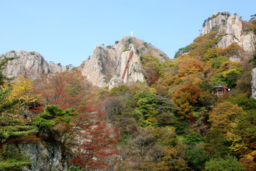 view of mountains in autumn