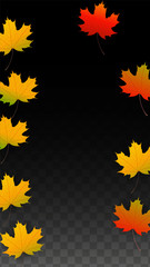 Fototapeta premium September Vector Background with Golden Falling Leaves. Autumn Illustration with Maple Red, Orange, Yellow Foliage. Isolated Leaf on Transparent Background. Bright Swirl. Suitable for Posters.