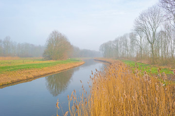 Edge of a canal in a rural foggy landscape in winter
