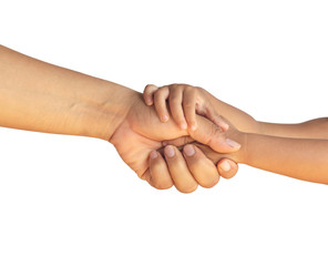 Man's hand holding child's hand on white background, isolate with clipping path