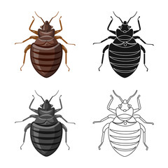 Isolated object of insect and fly logo. Set of insect and element stock symbol for web.