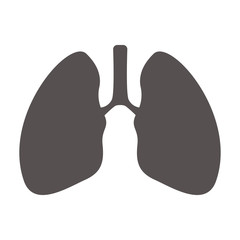 Vector lungs icon isolated on white background. Isolated icon of human lungs. Vector illustration.