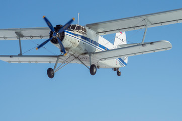 Fototapeta na wymiar Aircraft Antonov An-2 in flight.