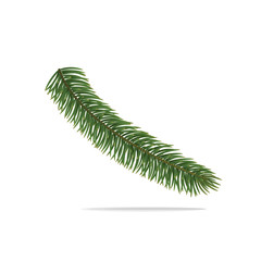 Single branch of Christmas tree. Vector object on white