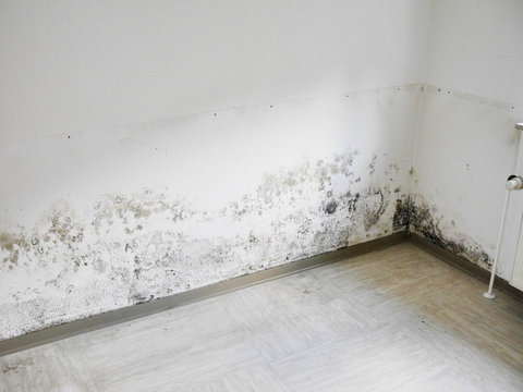 Schimmel und Feuchtigkeit an der Wand