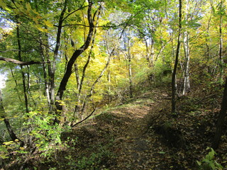Obraz premium Autumn path