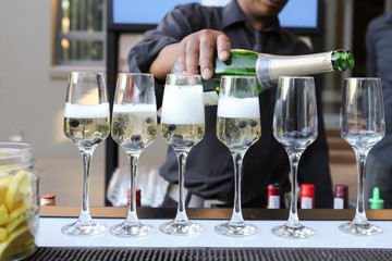 barman pouring champaign in six glasses with blue berries