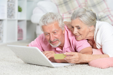 Portrait of happy senior couple using laptop