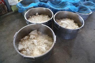 Monks food, Myanmar