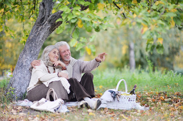 Portrait of elderly couple having a picnic in park