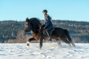 Swedish girl riding her Icelandic horse in deep snow and sunlight