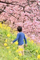 春のお散歩