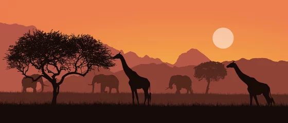 Foto op Aluminium Realistic illustration of a mountain landscape on safari in Kenya, Africa. Giraffes and elephants with trees. Orange sky with sun, vector © Forgem
