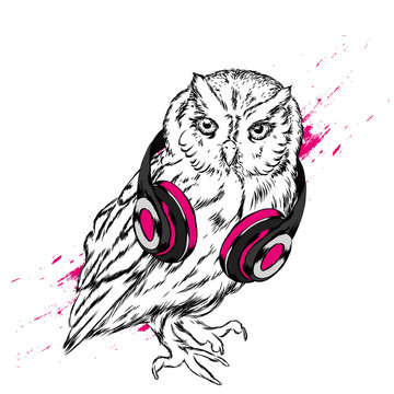 Cool owl with glasses and headphones. Vector illustration. Hipster bird. Hand-drawn.