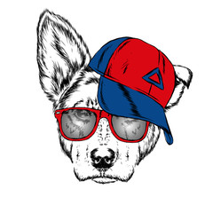 Cute Dog in cap and glasses. Vector illustration. 