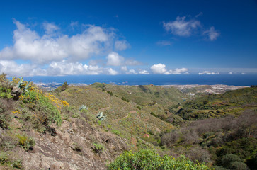 Gran Canaria, February