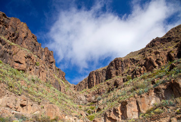 Gran Canaria, February