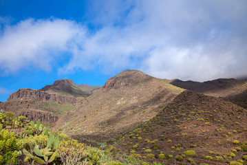 Gran Canaria, February