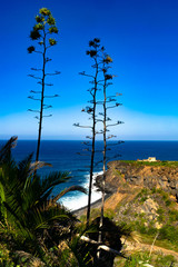 Obraz premium The Atlantic view