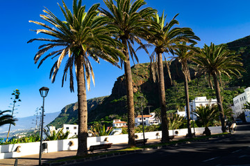 A tropical view from San Juan de la Rambla