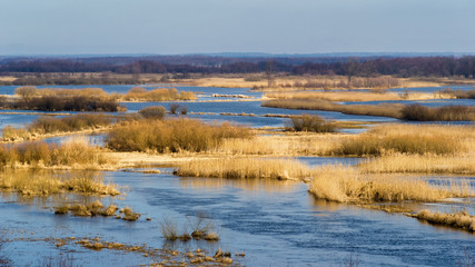 Biebrzanski Park Narodowy. Wiosna nad Biebrza. Rozlewiska Biwbrzy
