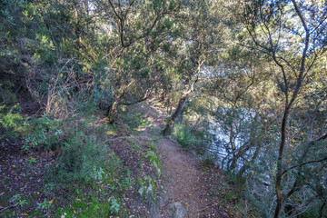 Small Lake in Terrassa, Barcelona, Catalonia, Spain
