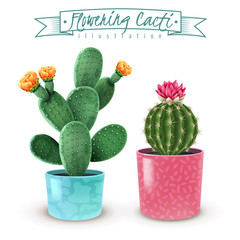Flowering Cacti Realistic Set 