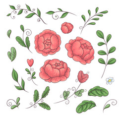 A set of peonies and floral elements in the style of hand-drawing in 2019 coral trend colors.