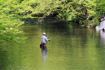 Fototapeta na wymiar A man fly fishing in a river.