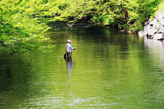 A man fly fishing in a river.
